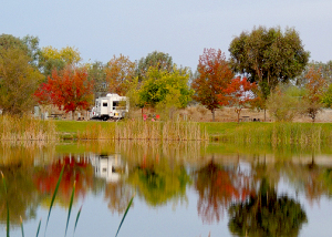 Monument Campground, Lake Camanche (10/30/14) Terry Willard