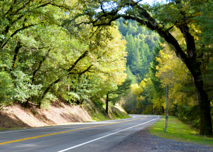 The Redwood Highway between Willits and Laytonville (10/26/14) Walter Gabler