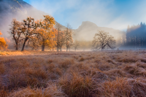 Cook's Meadow, Yosemite NP (11/23/14) Susan Taylor